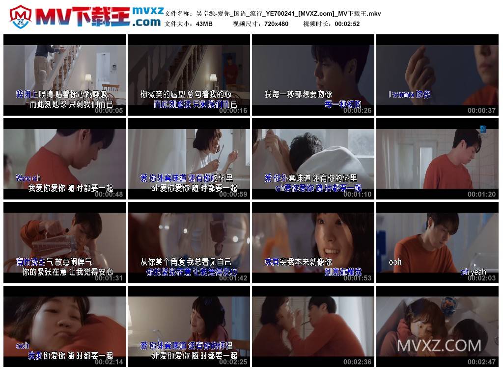 吴卓源-爱你_国语_流行_YE700241